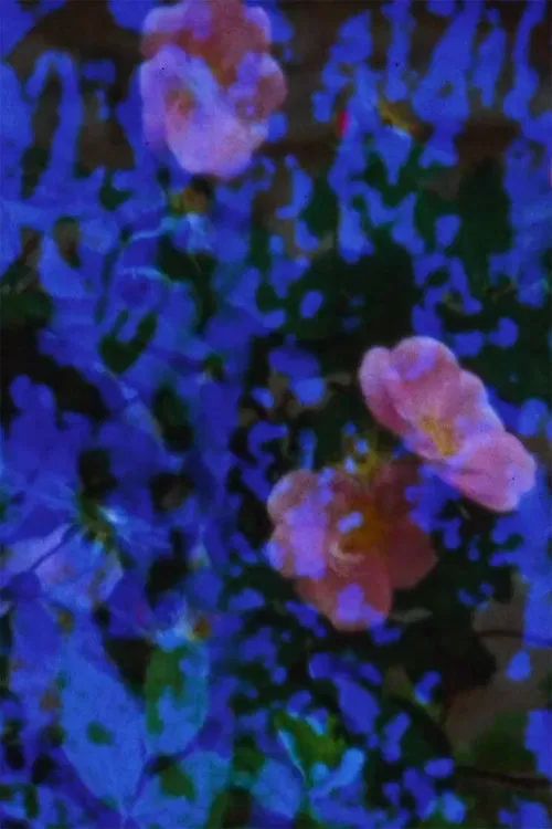 Events in the Tunnel poster