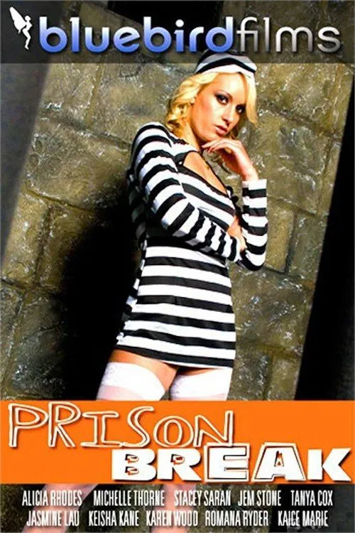 Prison Break poster