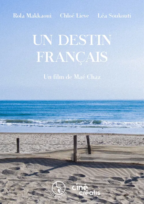 Un destin français poster