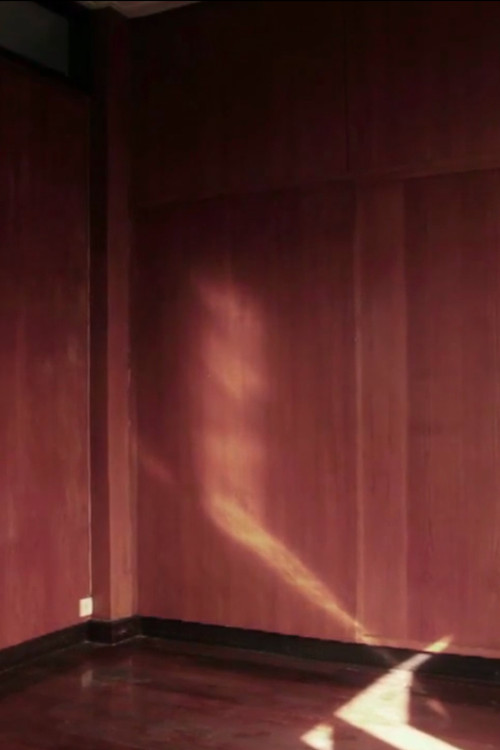 Passing Through the Night poster