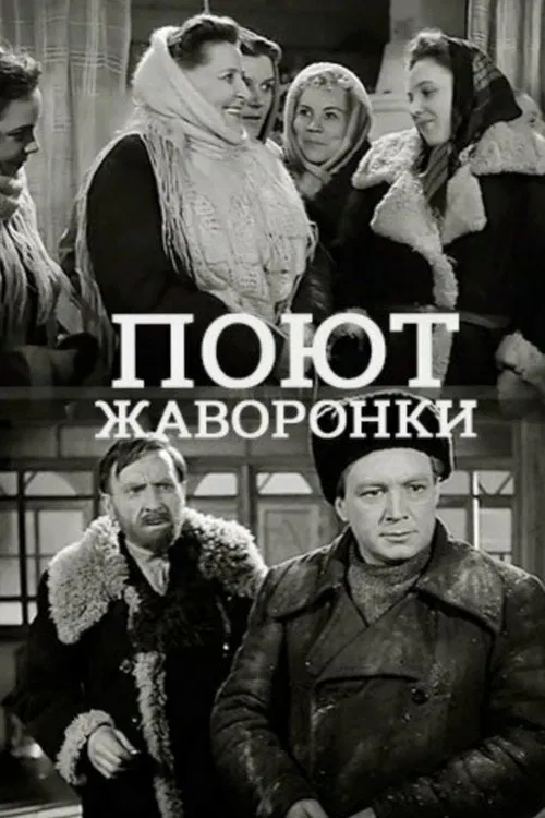 Поют жаворонки poster