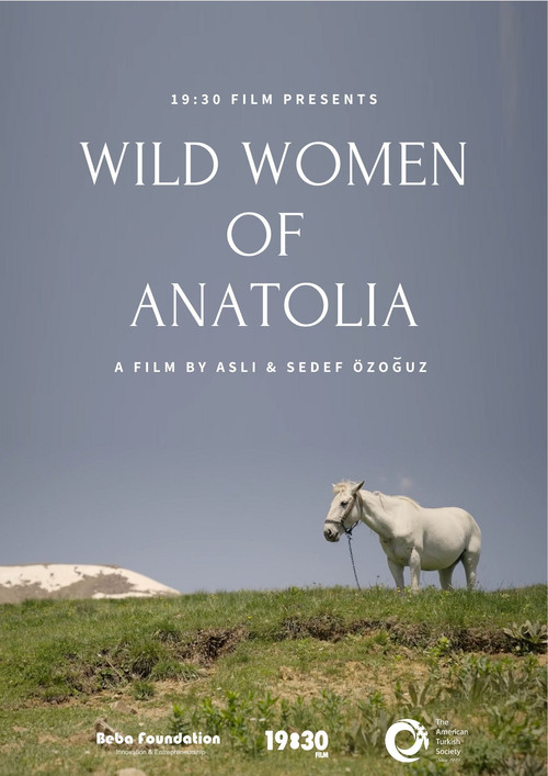 Wild Women of Anatolia poster