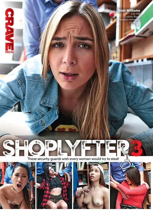 ShopLyfter 3 poster