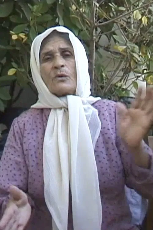 untitled part 3a: occupied territories poster