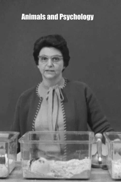 Animals and Psychology poster