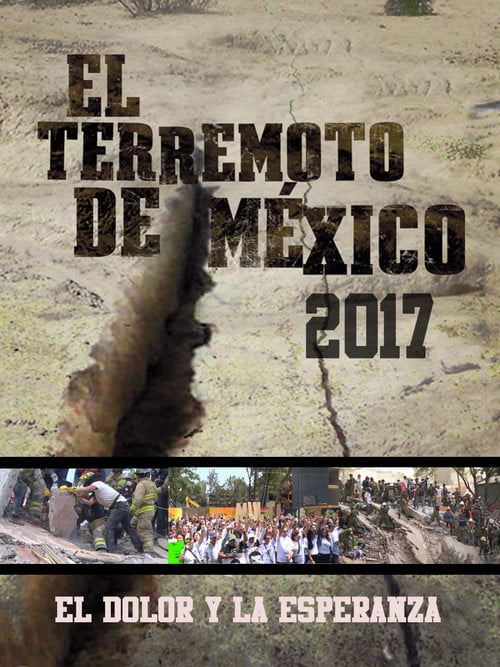 El dolor y la esperanza poster