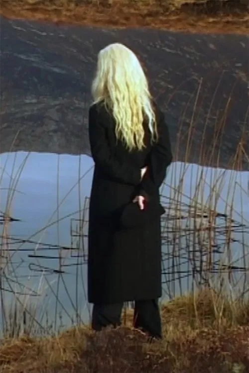 The Irreducible Difference of the Other poster