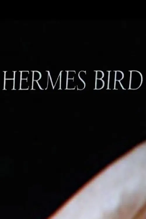 Hermes Bird poster