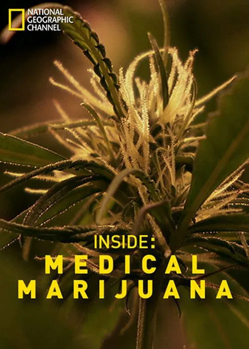 Inside: Medical Marijuana poster