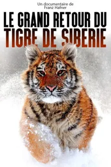 The Great Return of the Siberian Tiger poster