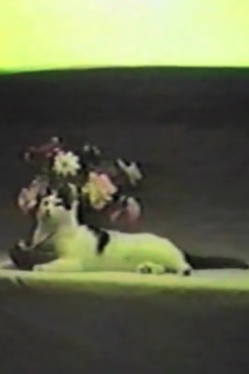 Whispering Pines Zero poster