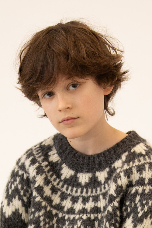 Léopold Lafontaine profile