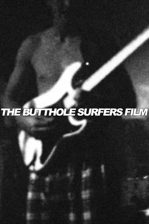 The Butthole Surfers Film poster