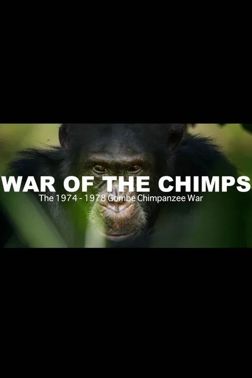 World War Chimp | The Brutal 1974 - 1978 Gombe Chimpanzee War: Documentary poster