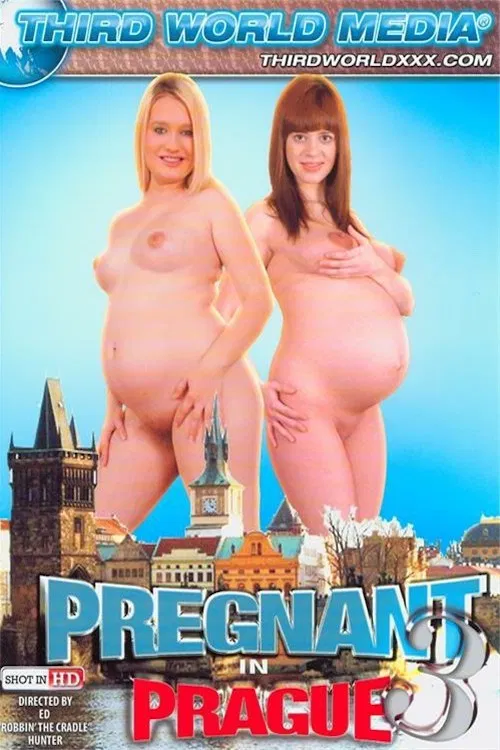 Pregnant In Prague 3 poster