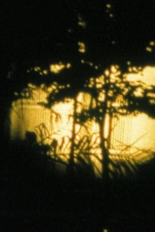 Hôtel Turkoman poster