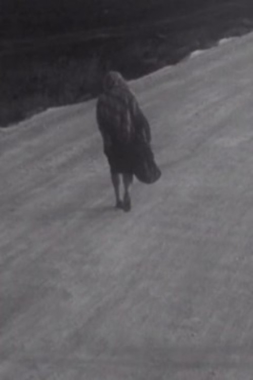 Man and Woman poster