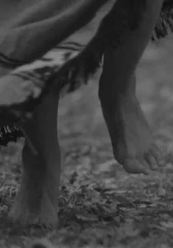 Wiñoy Xipantu, otra vuelta al sol poster