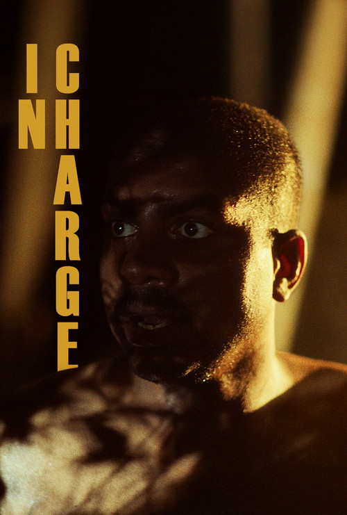 In Charge poster