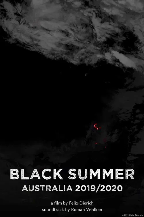Black Summer poster