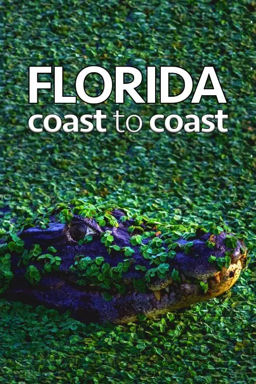 Florida Coast To Coast poster