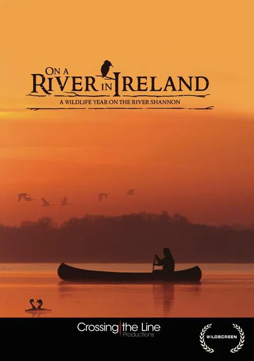 On a River in Ireland poster