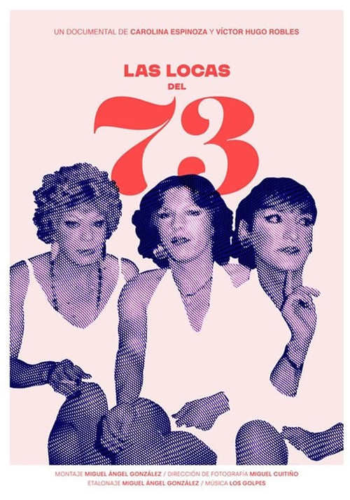 Las Locas del 73 poster