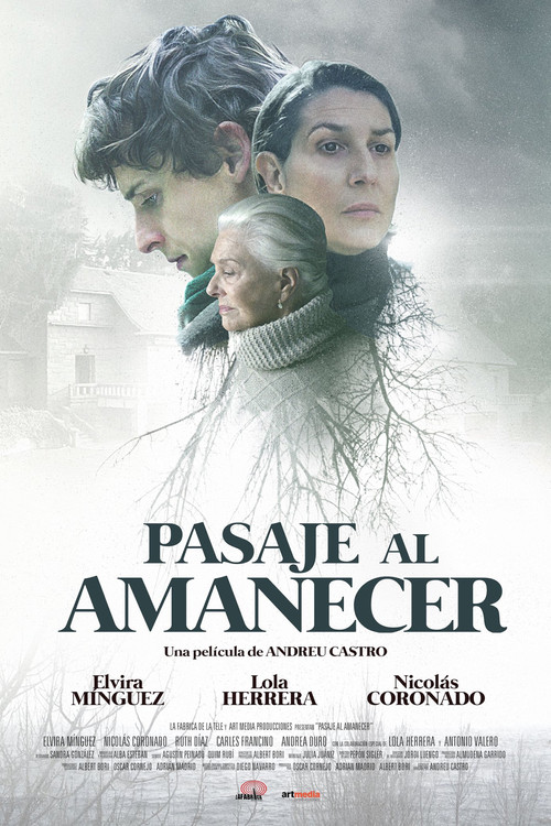 Pasaje al amanecer poster