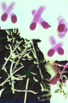 Frottage/Dommage/Fromage 2 Vous poster