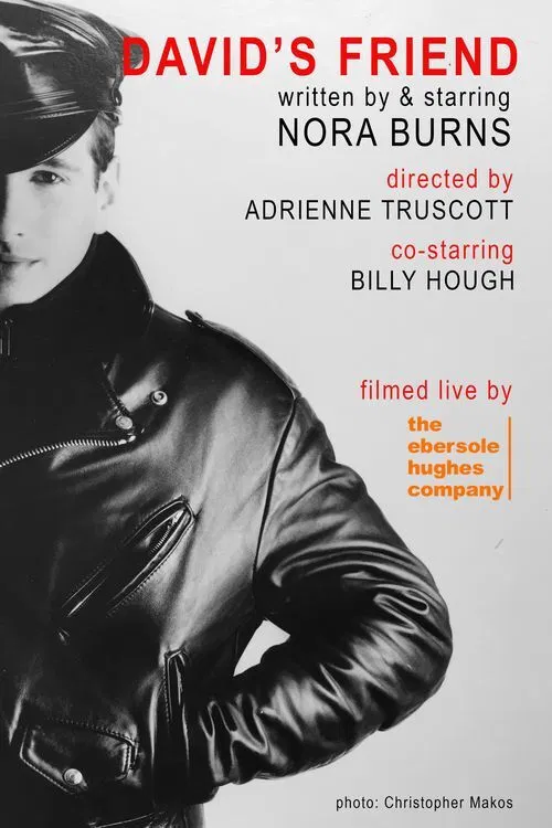 David's Friend poster