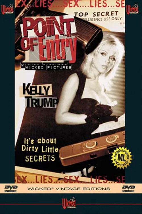 Point of Entry poster