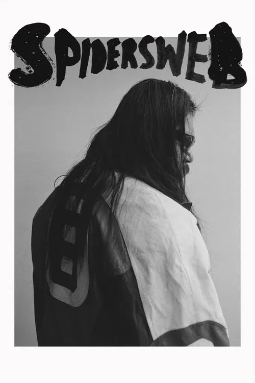 Spiders Web poster
