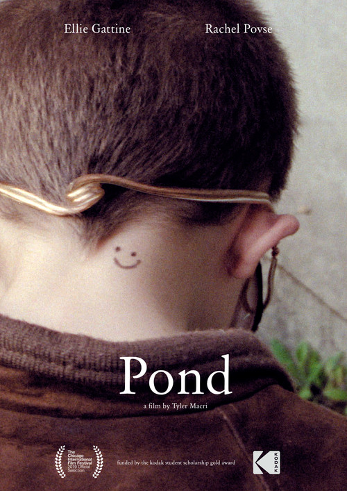 Pond poster