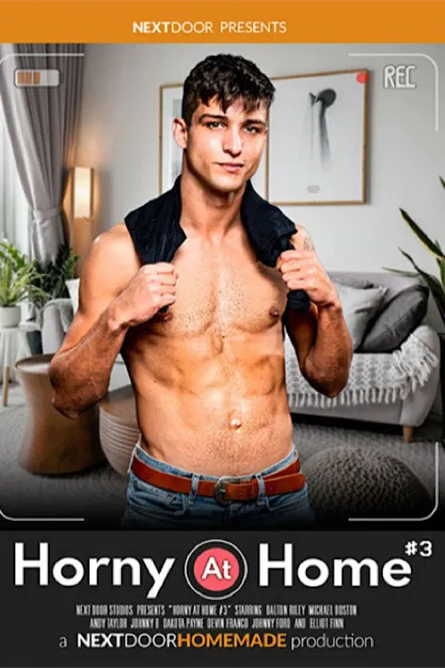 Horny at Home 3 poster