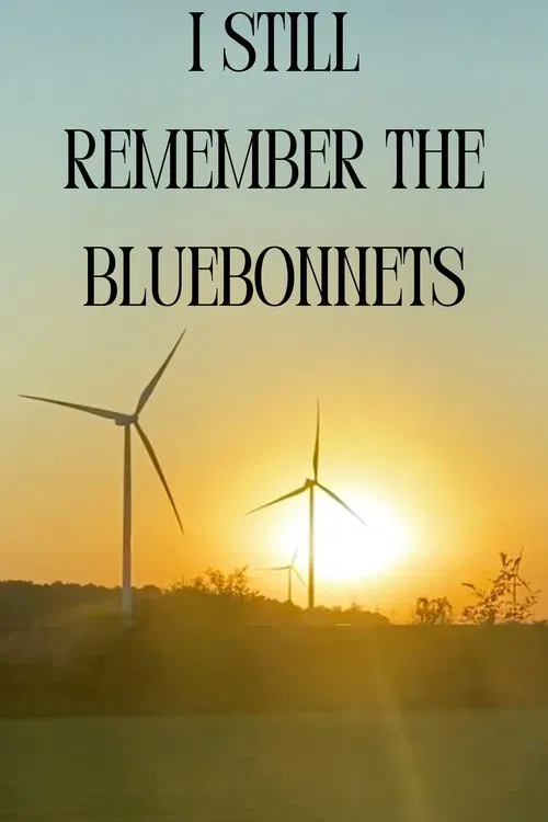 I Still Remember The Bluebonnets poster