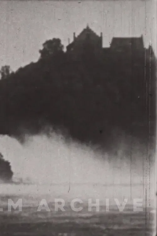 The Little Swiss Woodcarver poster