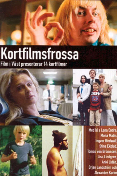 Jimmy Böljas fantasitrubadurpopskola poster