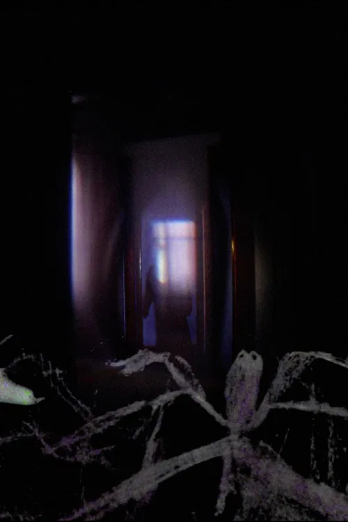 Saia da minha casa poster