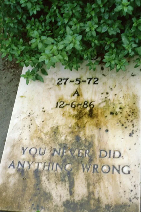 You never did anything wrong poster