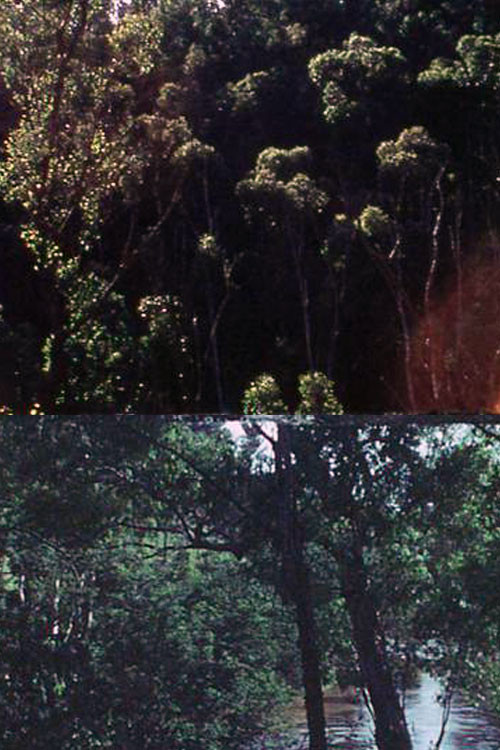 At Eltham, a Metaphor on Death poster