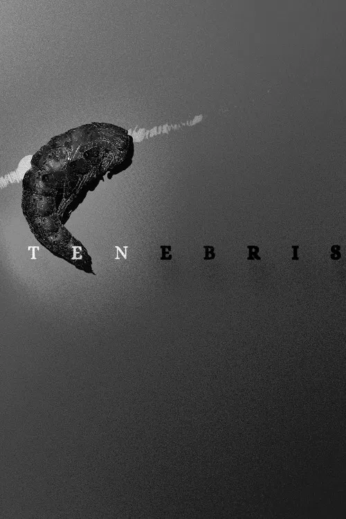 Tenebris poster