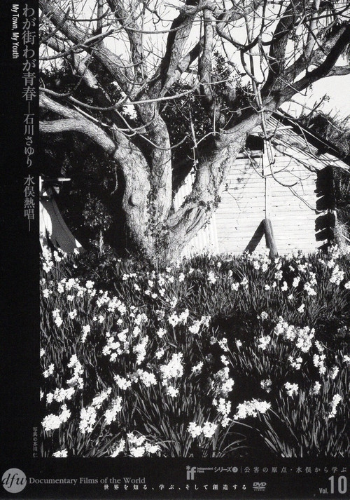 My Town, My Youth poster