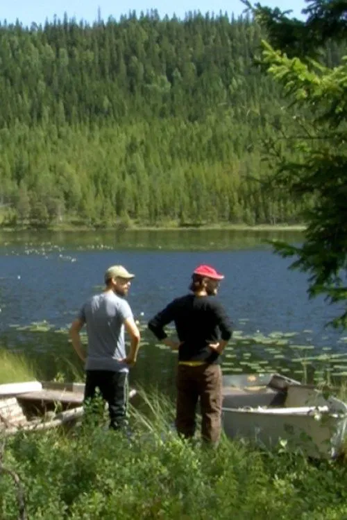 Anacos da Suecia poster