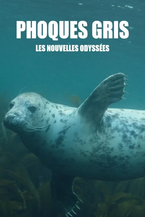 Grey Seals: A Journey of Survival poster