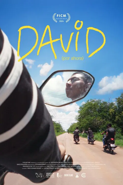 David (For Now) poster