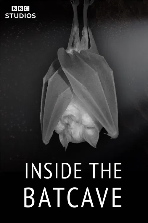 Inside the Bat Cave poster