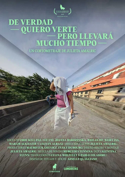 I Really Want to See You But It Will Take Too Long poster