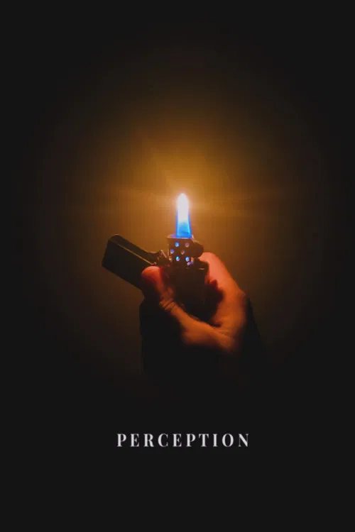 Perception poster