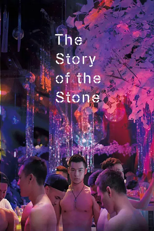 The Story of the Stone poster