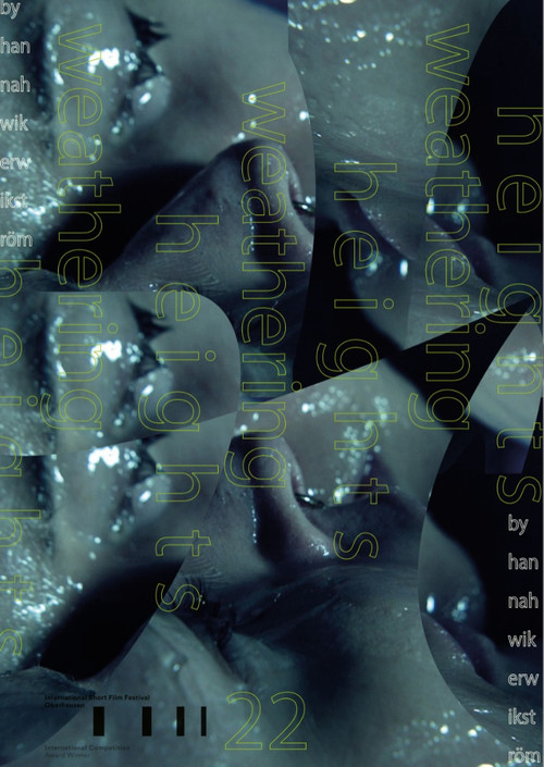 Weathering Heights poster